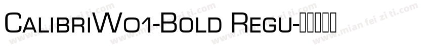 CalibriW01-Bold Regu字体转换